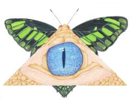 Goliath Publishing logo